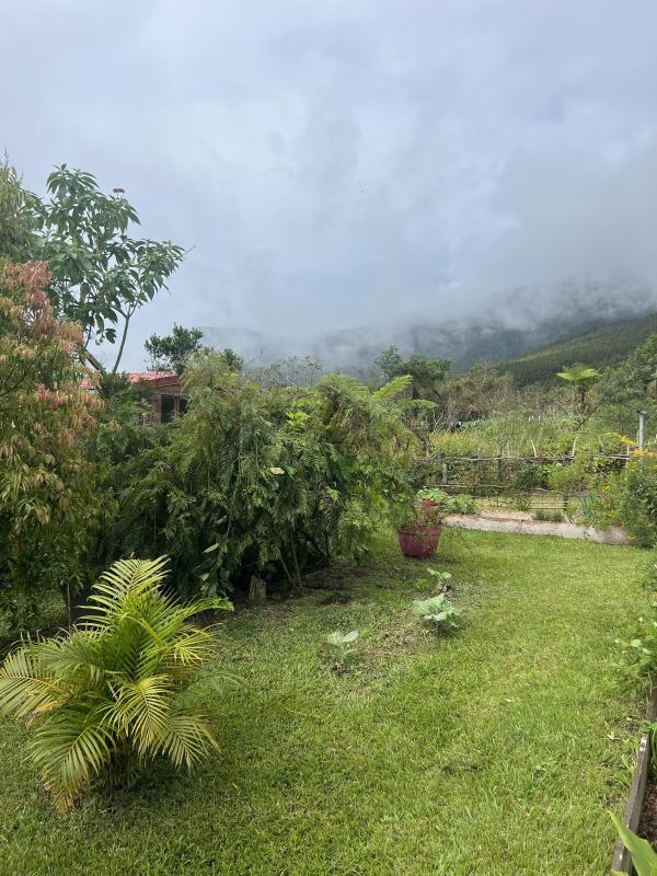 Châlet - 142 m² - 4 pièces