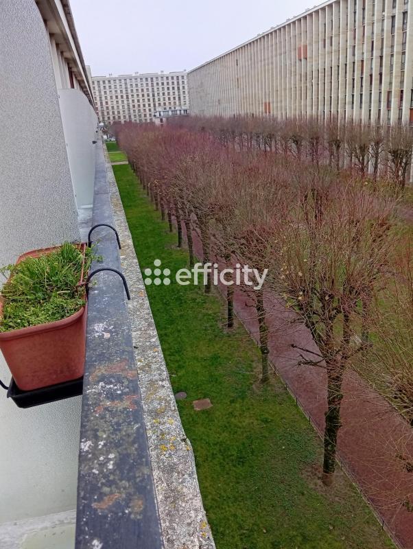 Appartement - 56 m² - 3 pièces