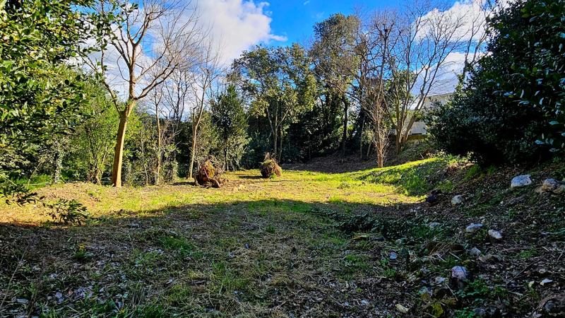 Terrain - 440 m²