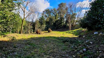 Terrain - 440 m²