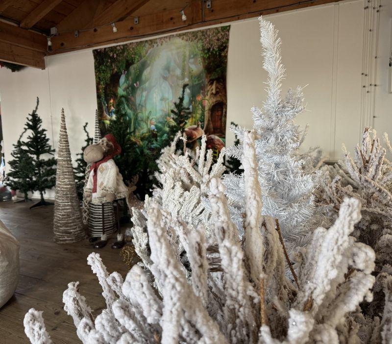 Noël à la Cabane Bleue