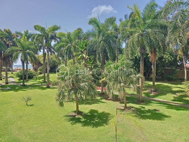 Appartement - 19 m² - 1 pièce