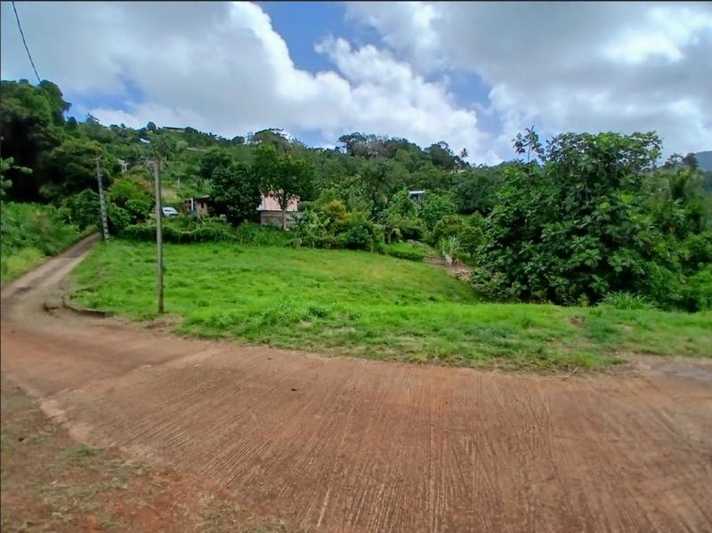 Terrain - 1 450 m²