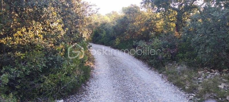 Terrain de loisirs - 2 241 m²