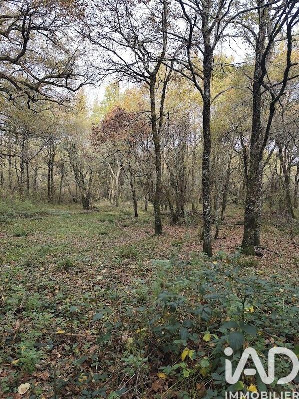 Terrain - 405 918 m²