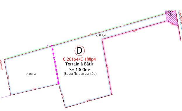 Terrain - 1 302 m²