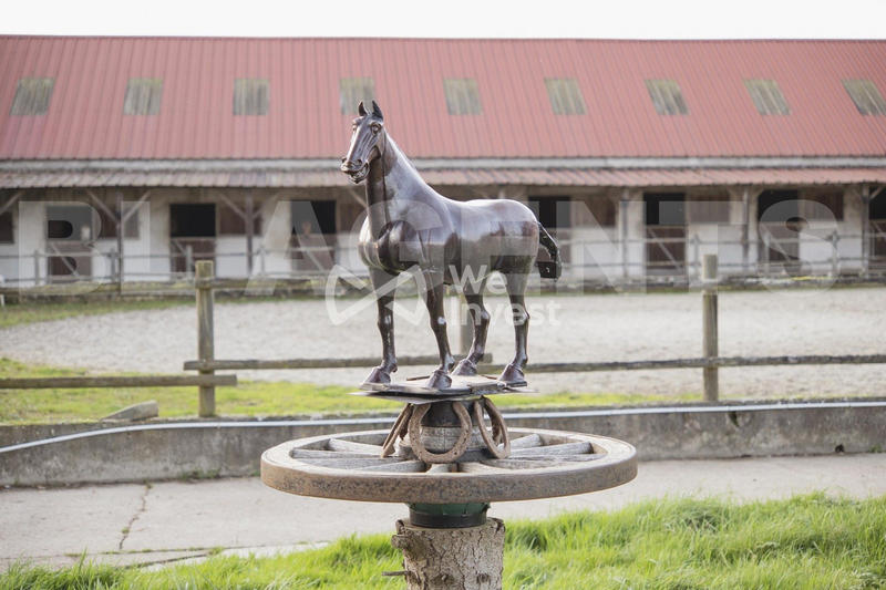 Maison - 220 m² - 9 pièces