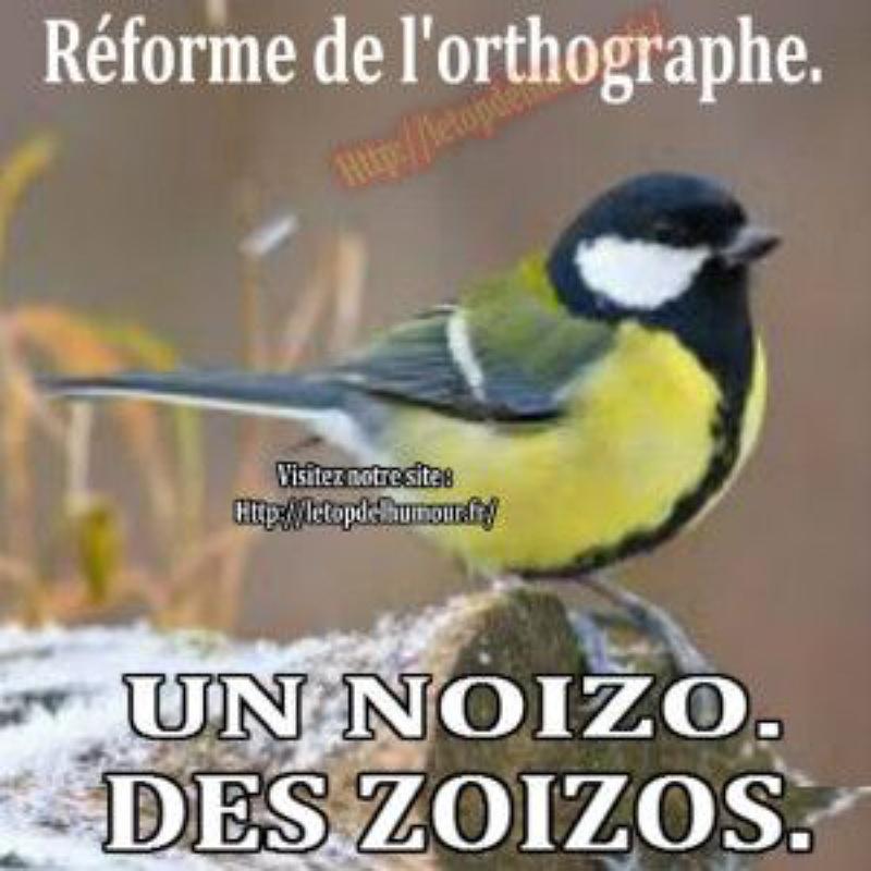 Dictée ados et adultes