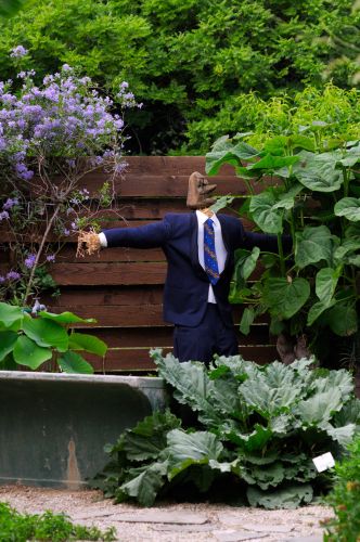 Jardin aux Plantes Parfumées