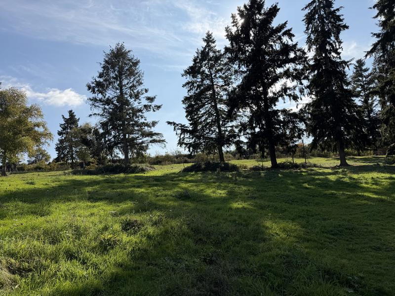 Terrain de loisirs - 7 720 m²