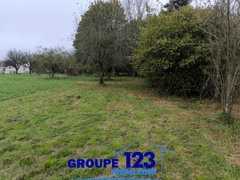 Terrain - 1 253 m²