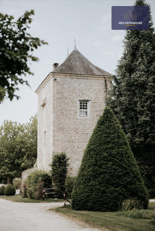 Château - 2 000 m² - 40 pièces