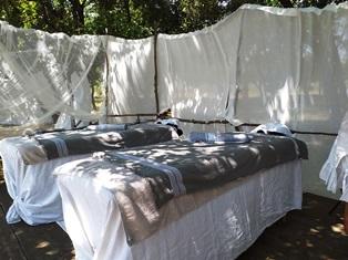 L'Essentiel-de-lavande