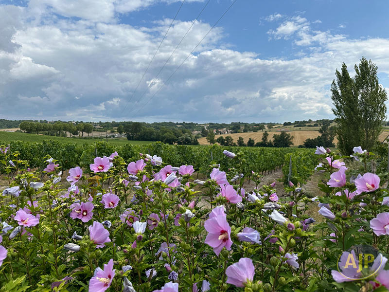 Maison - 123 m² - 6 pièces