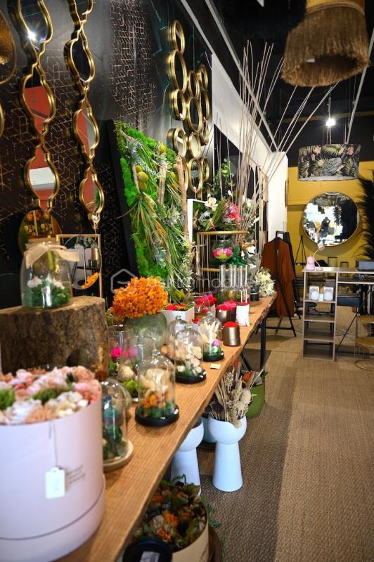 Local commercial - 71 m² - 2 pièces