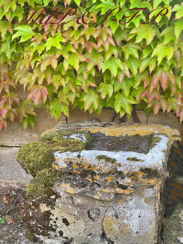 Maison bourgeoise - 356 m² - 10 pièces