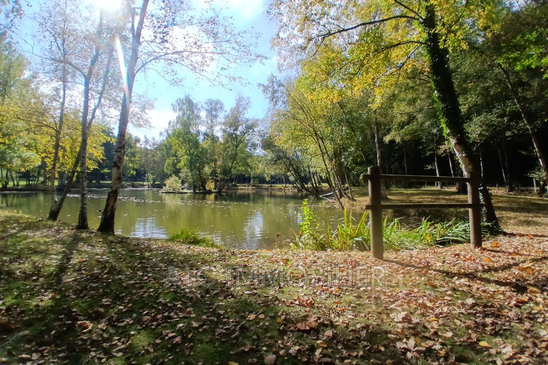 Terrain de loisirs - 23 520 m²