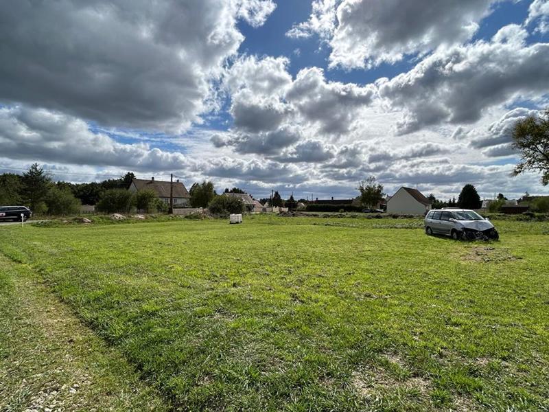 Terrain constructible - 1 003 m²