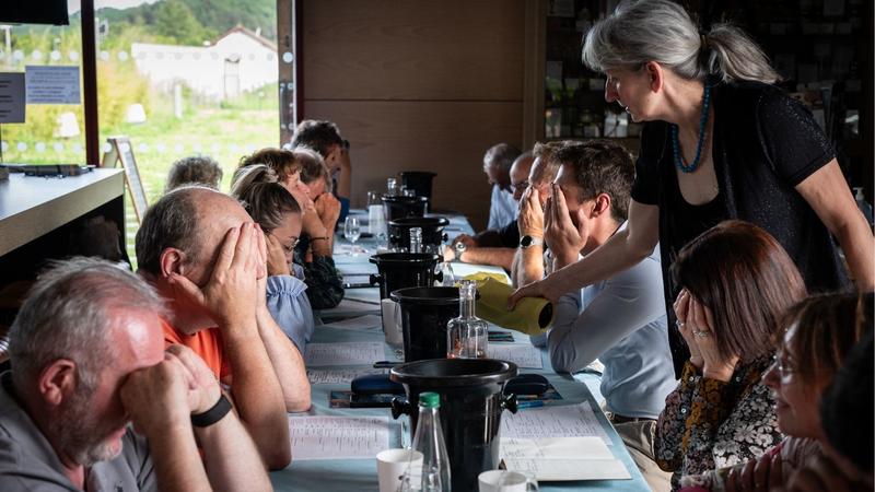 Atelier oenologie accord vins et fromages