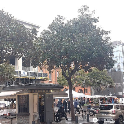 Appartement - 43 m² - 1 pièce