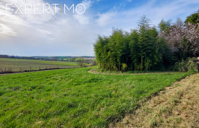 Viager - Maison - 191 m² - 12 pièces