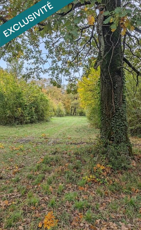 Terrain - 697 767 m²