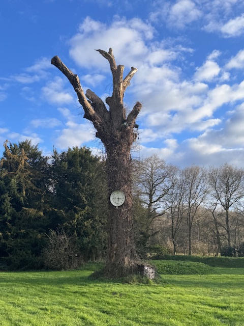 Manoir - 400 m² - 12 pièces