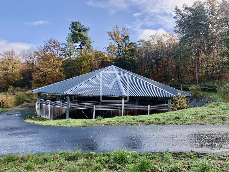 Maison - 250 m² - 15 pièces