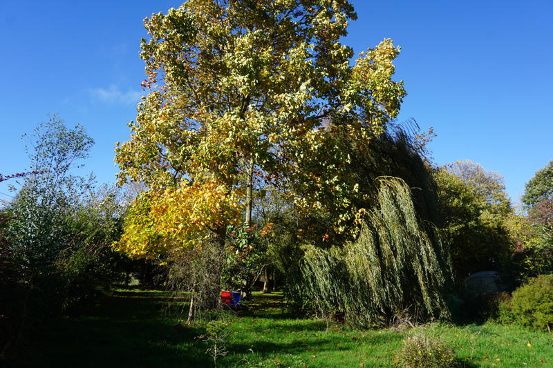 Maison - 126 m² - 6 pièces