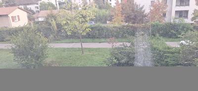 Studio - 19 m² - 1 pièce