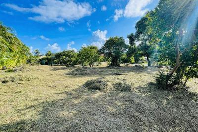 Terrain constructible - 1 215 m²