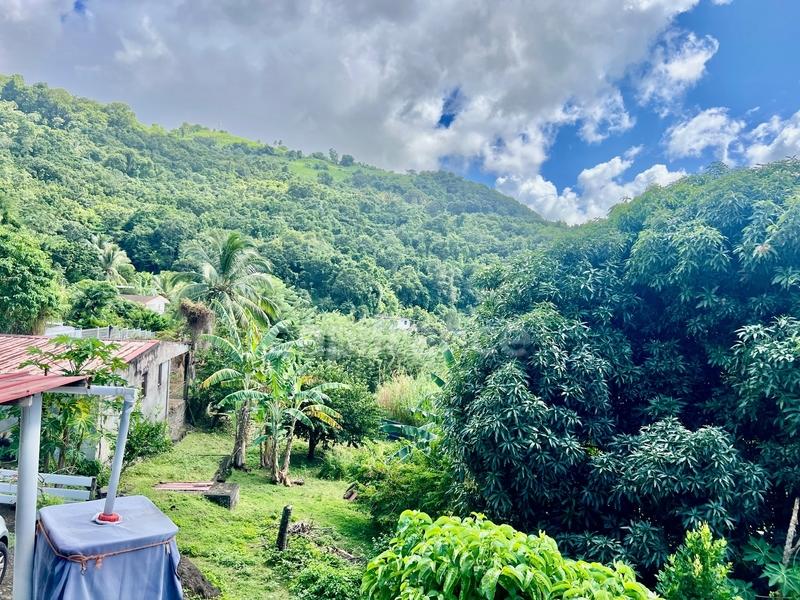 Maison - 239 m² - 9 pièces