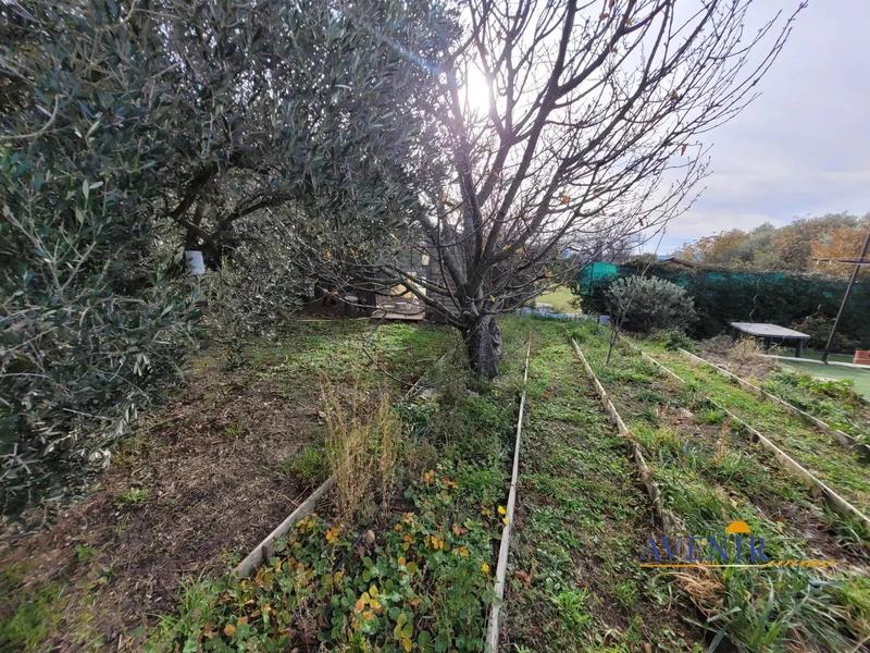 Magasins - 215 m² - 7 pièces