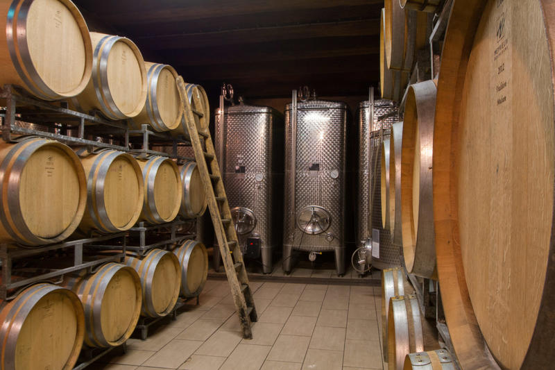 Visite libre des caves du Domaine Armand Gilg