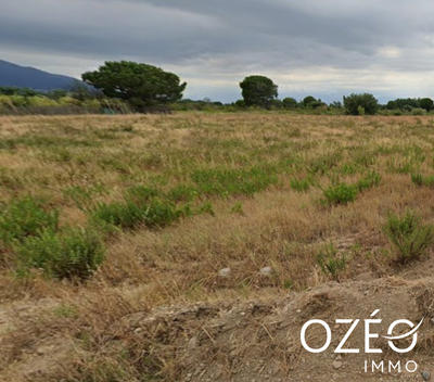 Terrain agricole - 10 687 m²