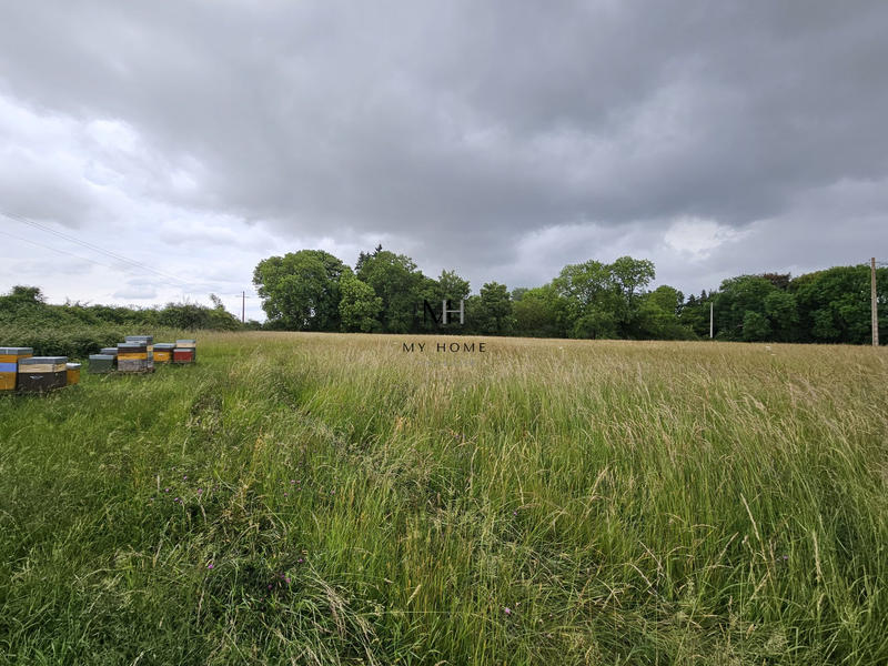 Terrain agricole - 10 804 m²