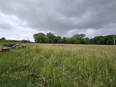 Terrain agricole - 10 804 m²