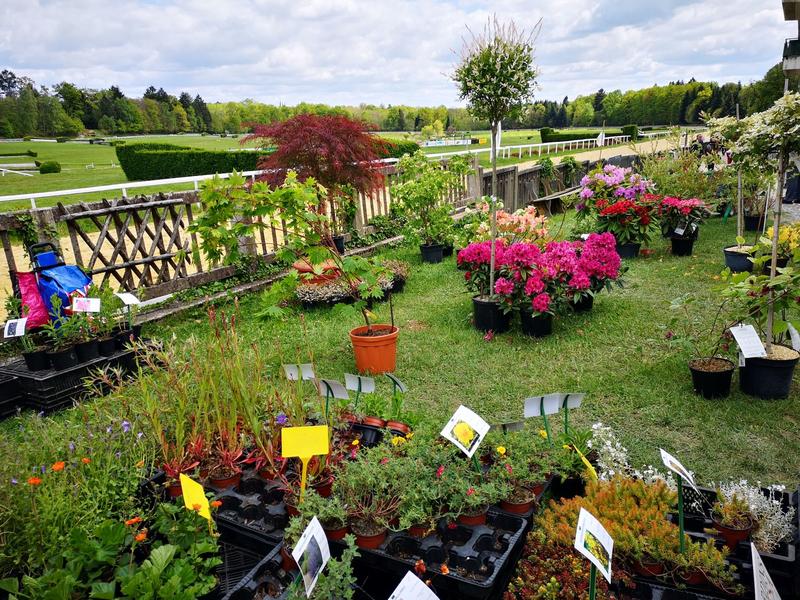 Fête des plantes à Pompadour