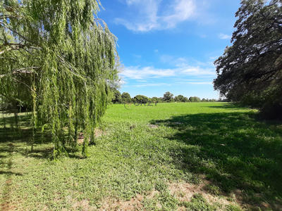 Mas - 270 m² - 7 pièces