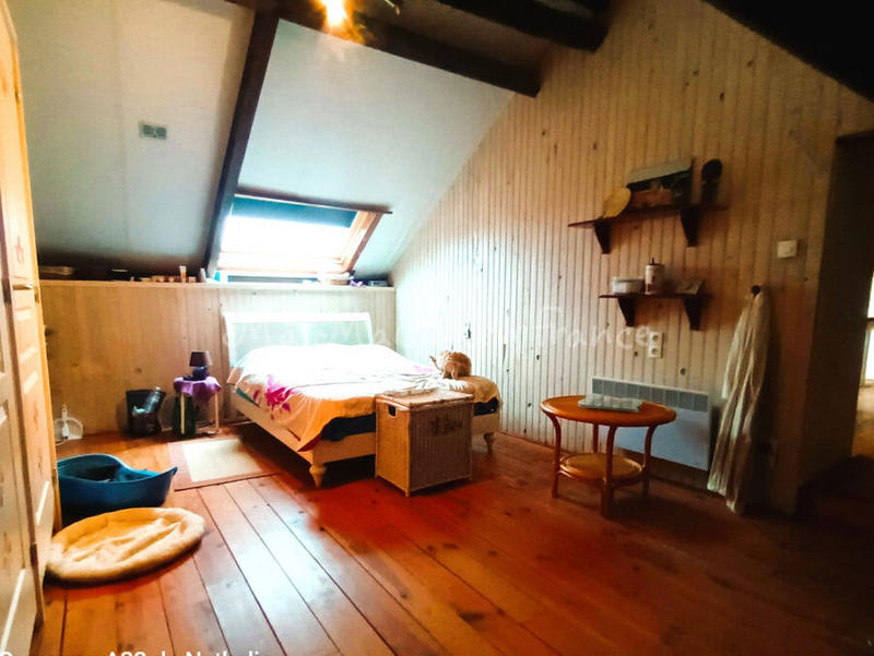 Maison chambre d'hôtes - 240 m² - 8 pièces