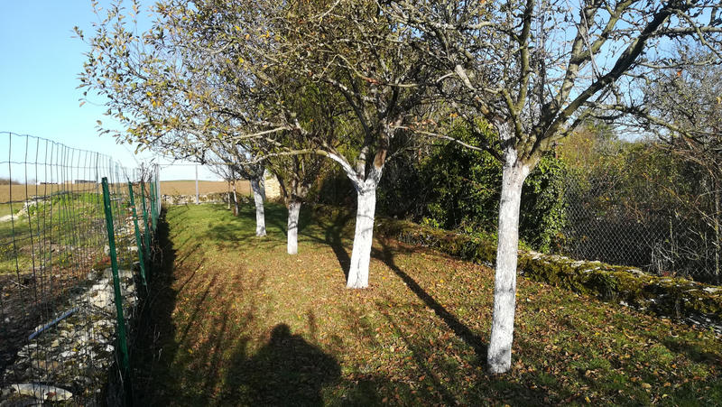 Maison de village - 97 m² - 6 pièces