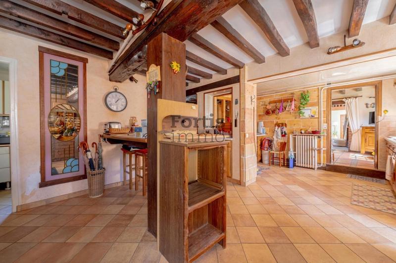 Corps de ferme - 381 m² - 10 pièces