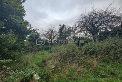 Maison en pierre - 116 m² - 3 pièces