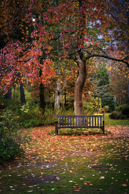 Concours photos : Automne