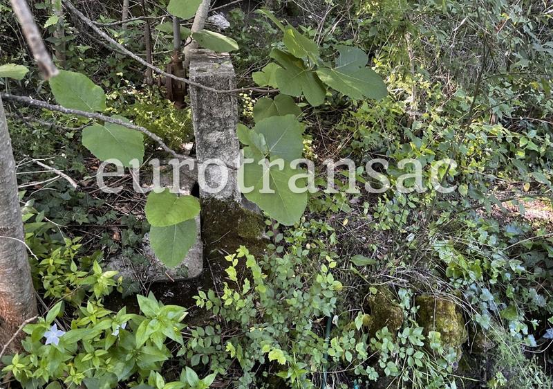 Terrain agricole - 11 480 m²