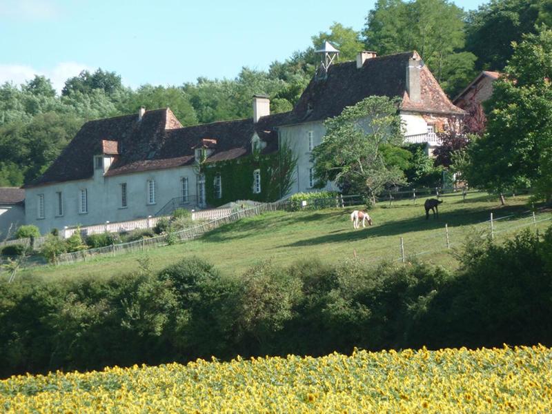 Maison - 660 m² - 25 pièces