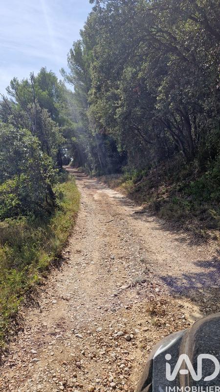 Terrain agricole - 7 260 m²