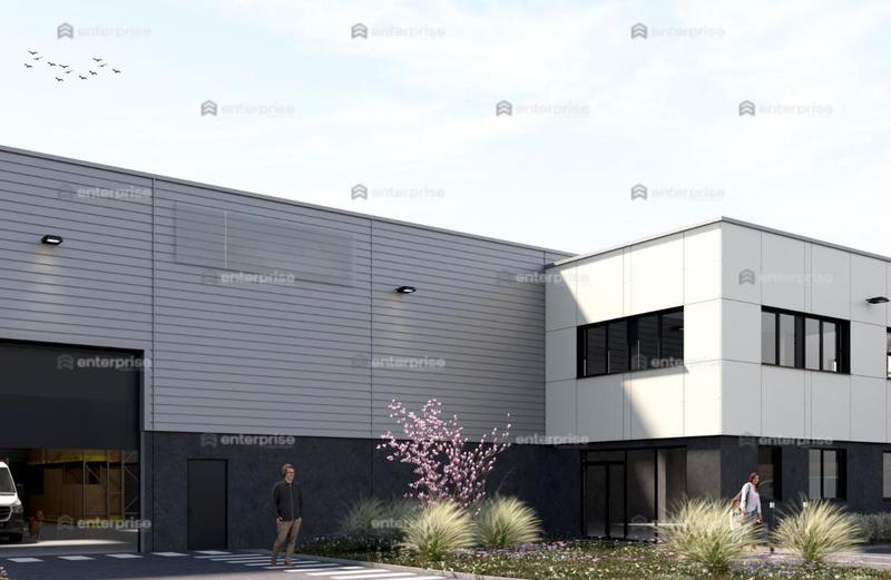 Local d'activité / Entrepôt - 1 009 m²