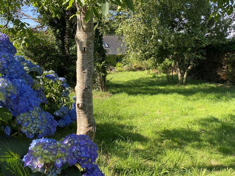 Maison ancienne - 125 m² - 3 pièces