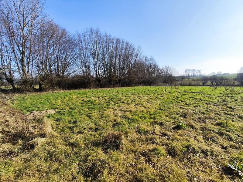 Terrain - 12 000 m²